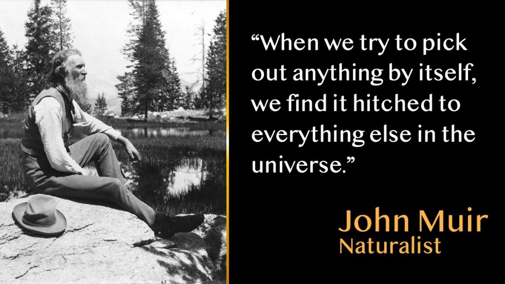 John Muir quote