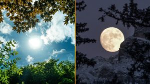 Day Night - Healing With the Moon – Powers of the Moon Series – Part 5 of 5